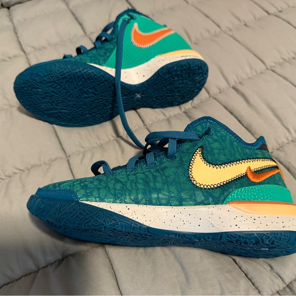 Nike LeBron basketball shoes